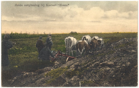 1850-1950: het groene Brabant